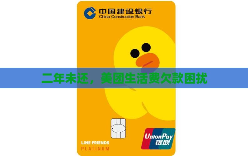 二年未还，美团生活费欠款困扰