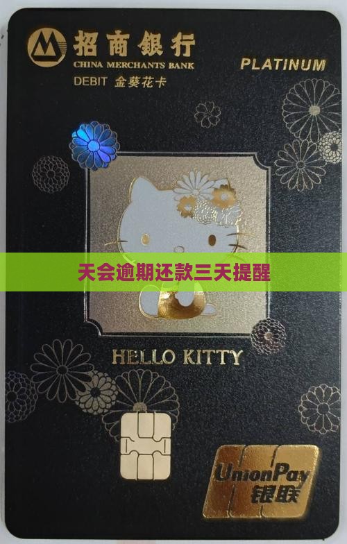 天会逾期还款三天提醒