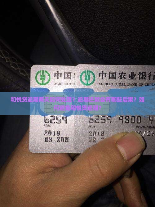 和悦贷逾期两天如何处理？逾期还款会有哪些后果？如何避免和悦贷逾期？