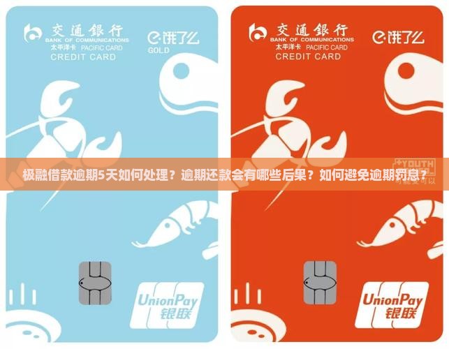 极融借款逾期5天如何处理？逾期还款会有哪些后果？如何避免逾期罚息？