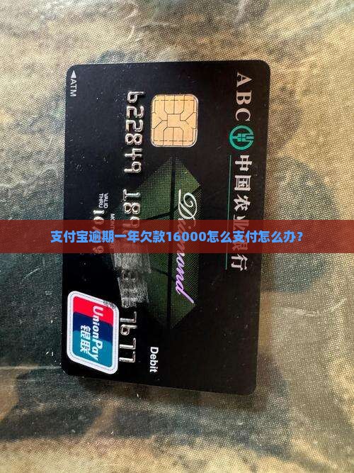 支付宝逾期一年欠款16000怎么支付怎么办？