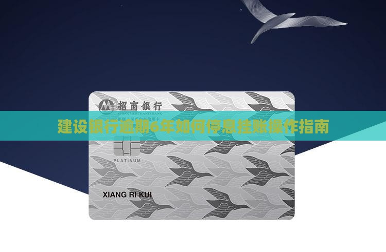 建设银行逾期6年如何停息挂账操作指南
