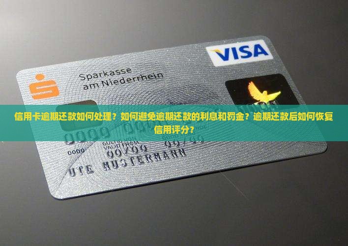 信用卡逾期还款如何处理？如何避免逾期还款的利息和罚金？逾期还款后如何恢复信用评分？