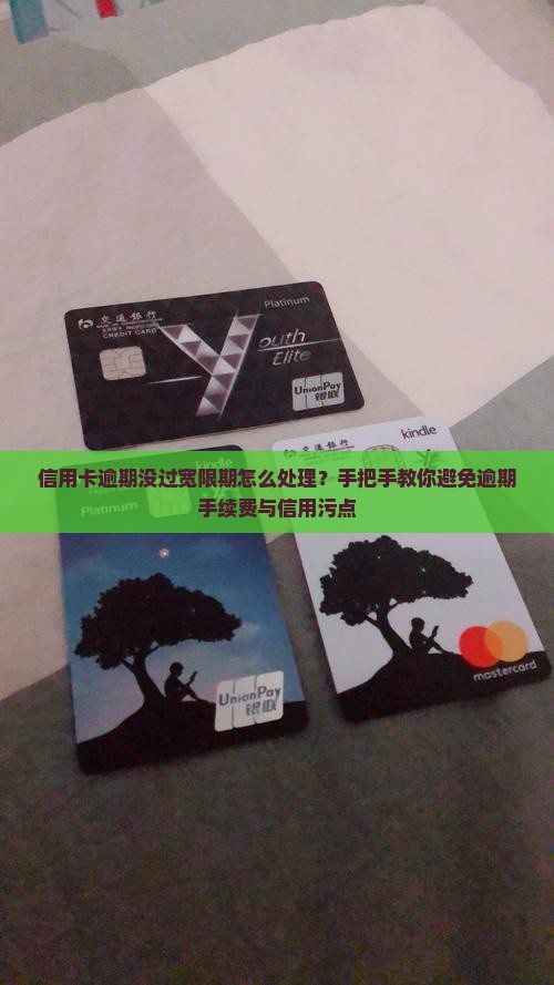 信用卡逾期没过宽限期怎么处理？手把手教你避免逾期手续费与信用污点