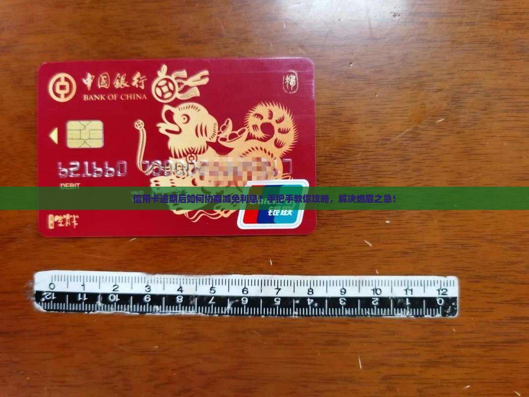 信用卡逾期后如何协商减免利息？手把手教你攻略，解决燃眉之急！