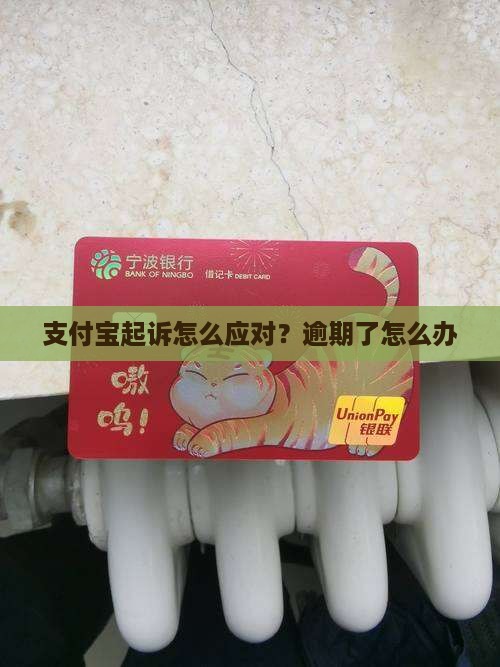 支付宝起诉怎么应对？逾期了怎么办