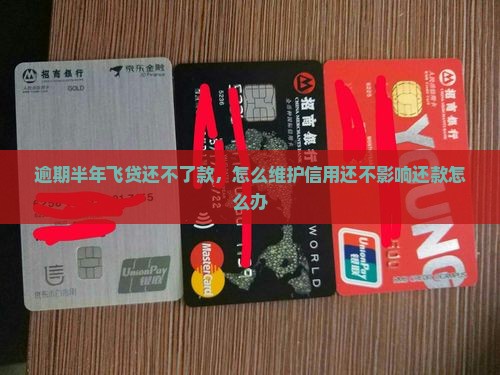 逾期半年飞贷还不了款，怎么维护信用还不影响还款怎么办
