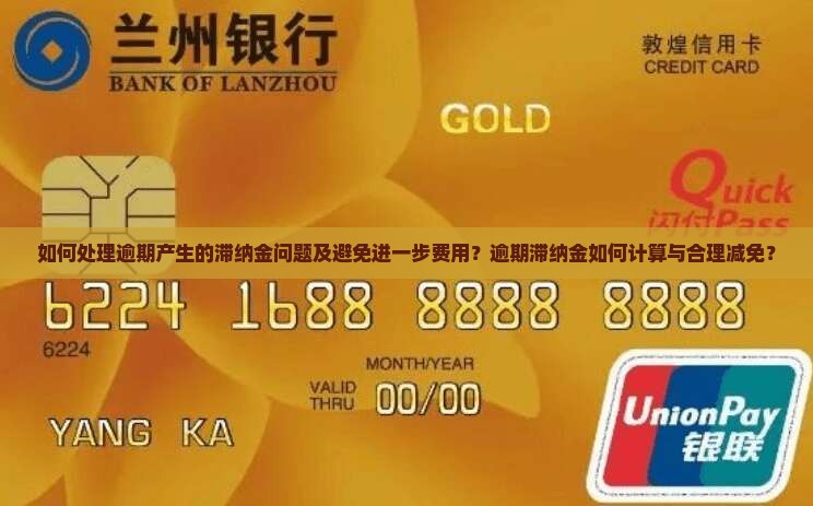 如何处理逾期产生的滞纳金问题及避免进一步费用？逾期滞纳金如何计算与合理减免？