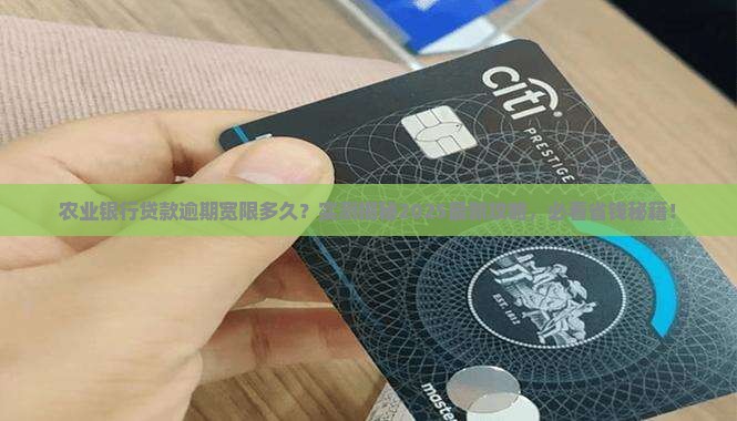 农业银行贷款逾期宽限多久