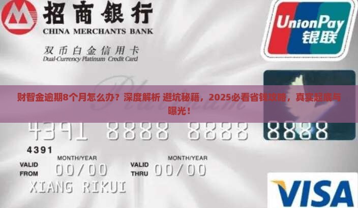 财智金逾期8个月