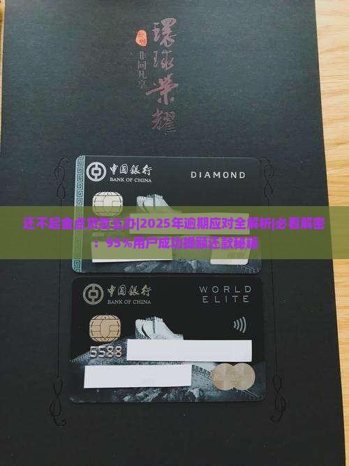 还不起金点贷怎么办