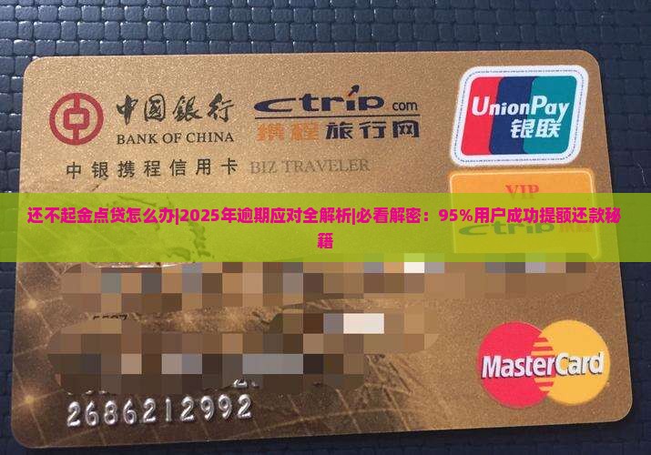 还不起金点贷怎么办