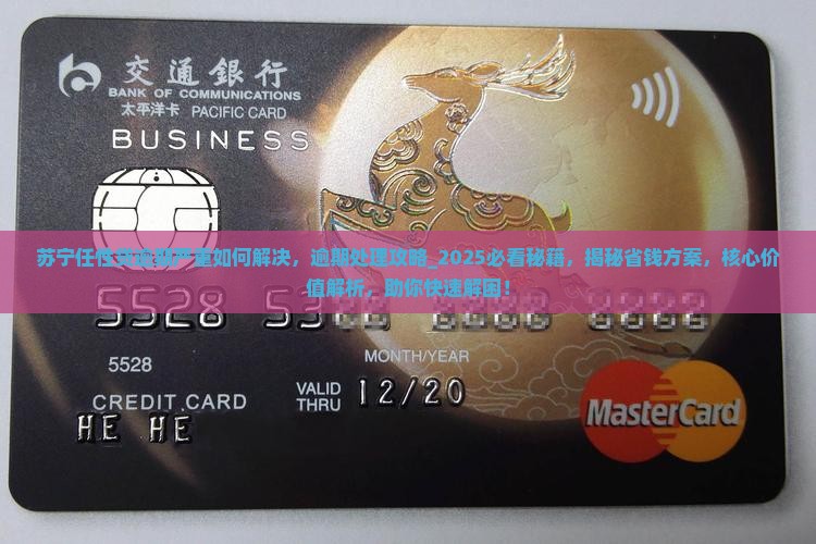 苏宁任性贷逾期严重如何解决