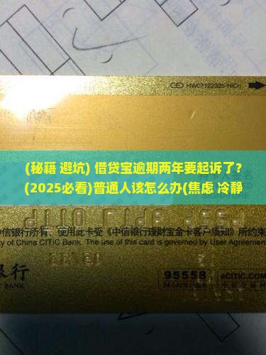 借贷宝逾期两年要起诉怎么操作