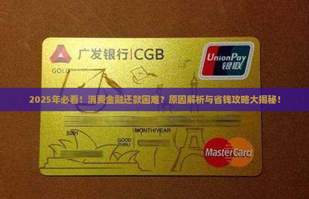 消费金融借款无法偿还的原因分析
