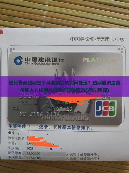 银行贷款逾期三个月滞纳金该如何处理