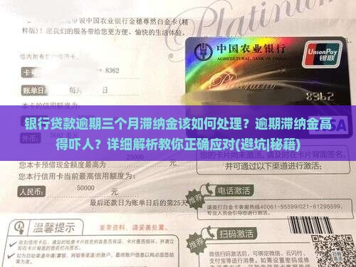 银行贷款逾期三个月滞纳金该如何处理