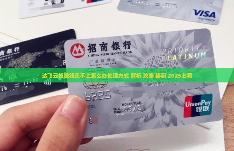 达飞云贷没钱还不上怎么办处理方式