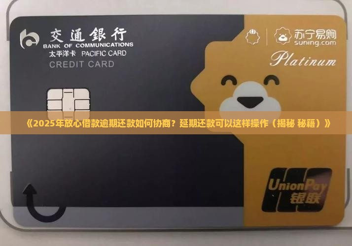 放心借款能否协商还款