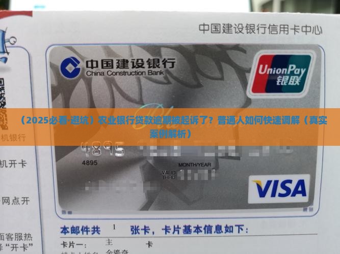 农业银行贷款逾期被起诉了怎么调解
