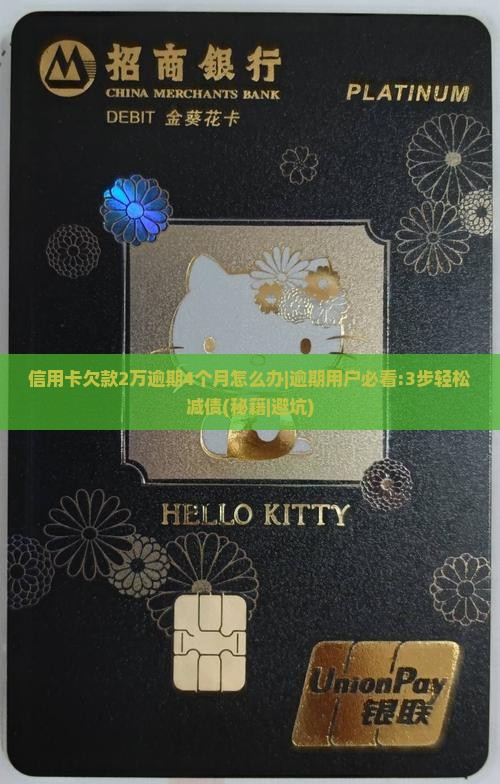信用卡欠款2万逾期4个月怎么办