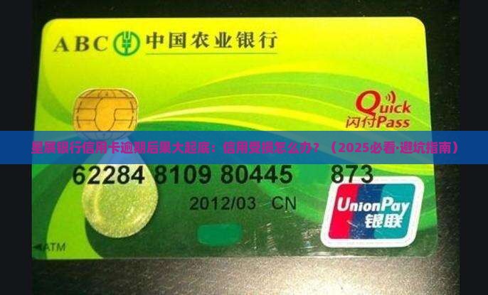 星展银行信用卡逾期后的后果是什么