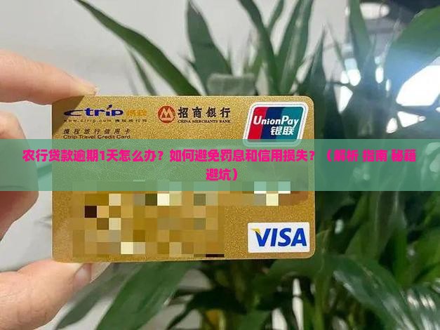农行贷款逾期1天怎么办