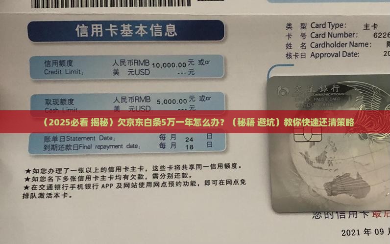 欠京东白条5万一年怎么办
