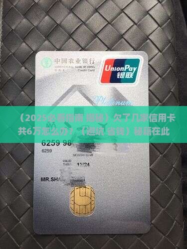 欠几家信用卡6万怎么办