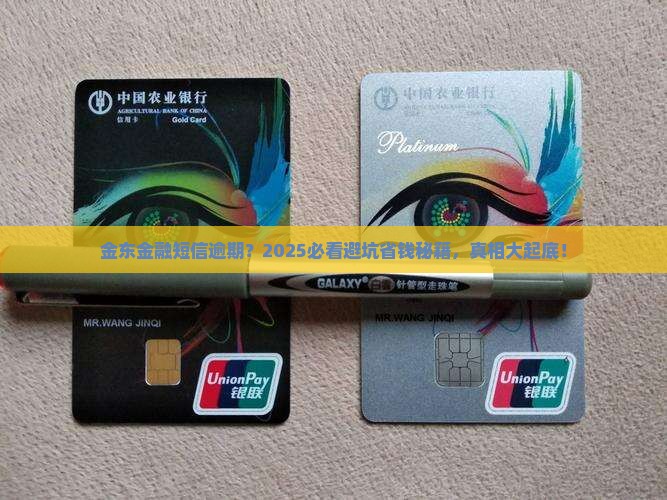 金东金融有一个逾期的短信