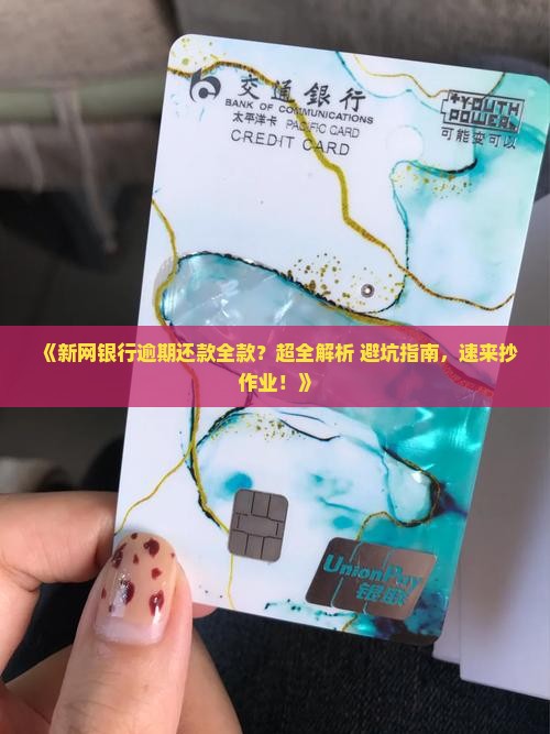 新网银行逾期还款全款怎么办