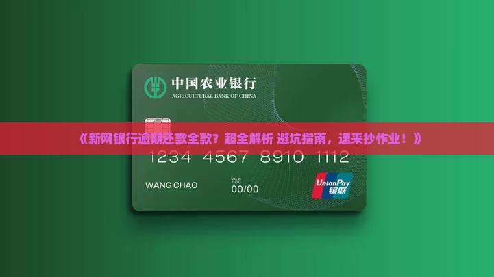 新网银行逾期还款全款怎么办