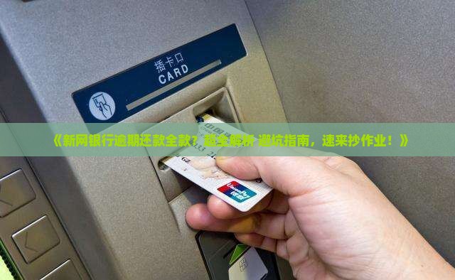 新网银行逾期还款全款怎么办