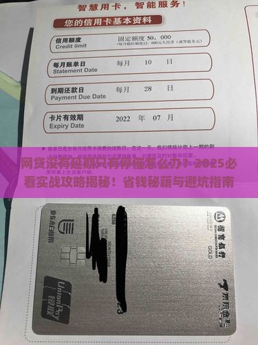 网贷没有延期只有停催怎么办