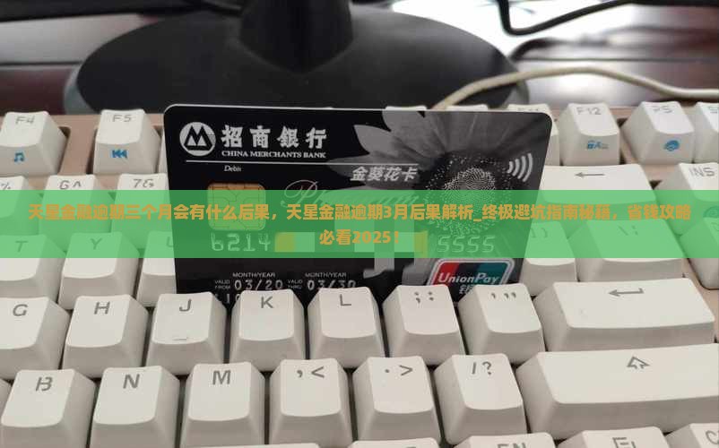 天星金融逾期三个月会有什么后果