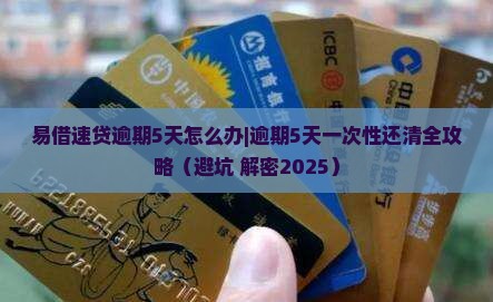 易借速贷逾期5天怎么办一次性还清