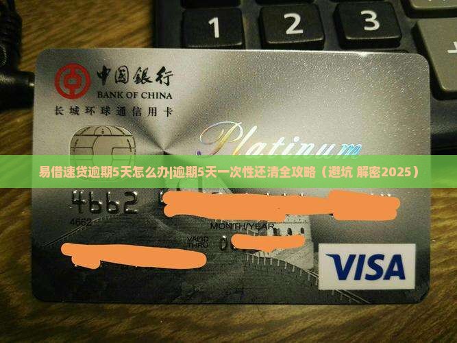 易借速贷逾期5天怎么办一次性还清