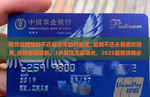 网贷逾期暂时不还会坐牢如何处理