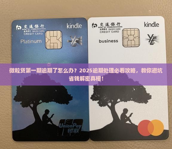微粒贷第一期逾期处理方法