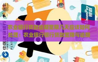 农业银行贷款逾期宽限几天应该如何处理