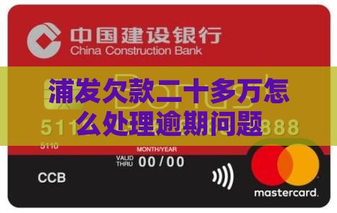 浦发欠款二十多万如何处理