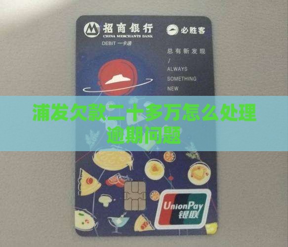 浦发欠款二十多万如何处理