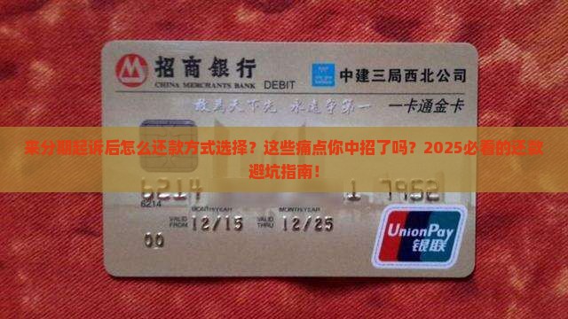 来分期起诉后怎么还款方式选择