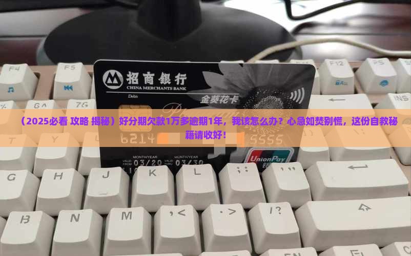 好分期欠款1万多逾期1年怎么办