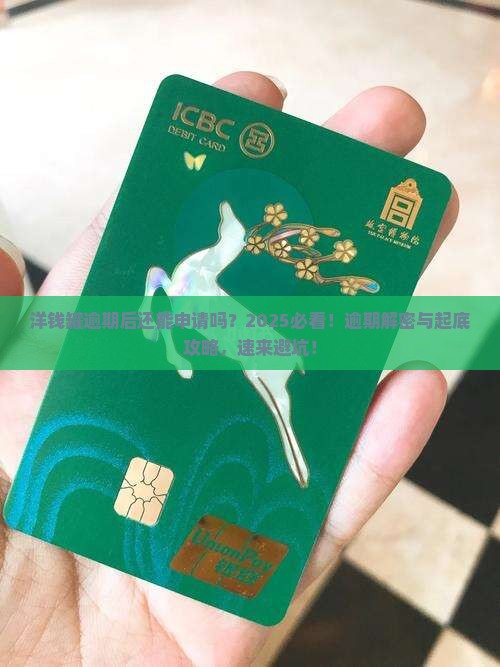 洋钱罐逾期就不能申请了如何处理
