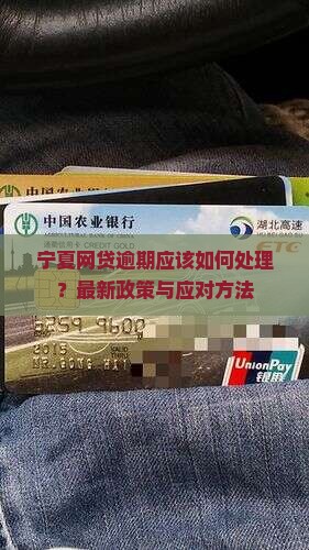 宁夏网贷逾期应该如何处理