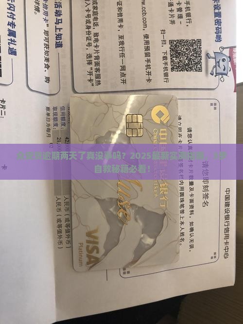 众安贷逾期两天了没事吧怎么办