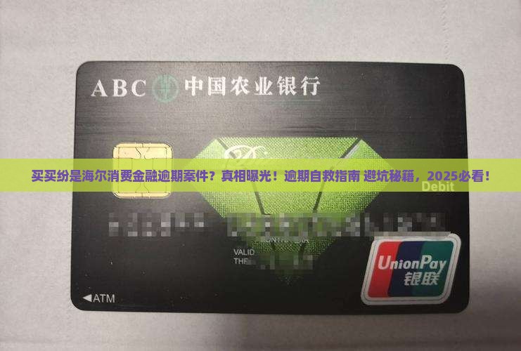 买买纷是海尔消费金融逾期案件