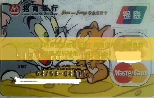 买买纷是海尔消费金融逾期案件