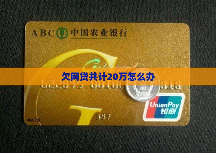 欠网贷共计20万怎么办